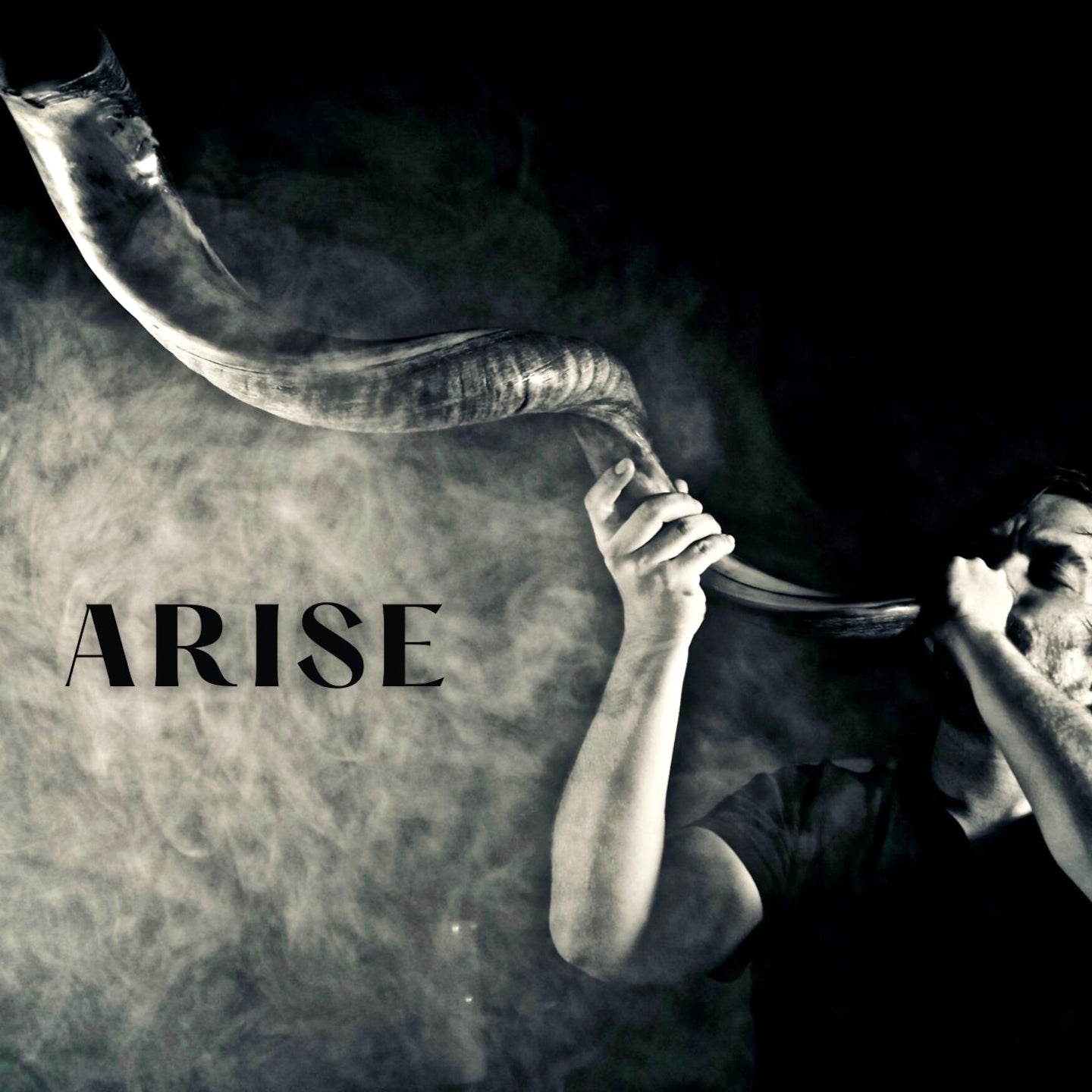 Reinhardt Buhr Arise 01 Arise